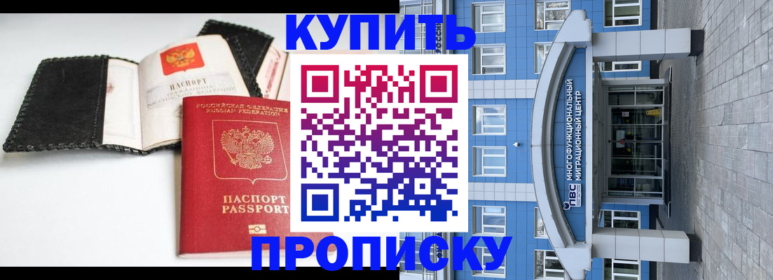 прописка гарантия в Зеленогорске